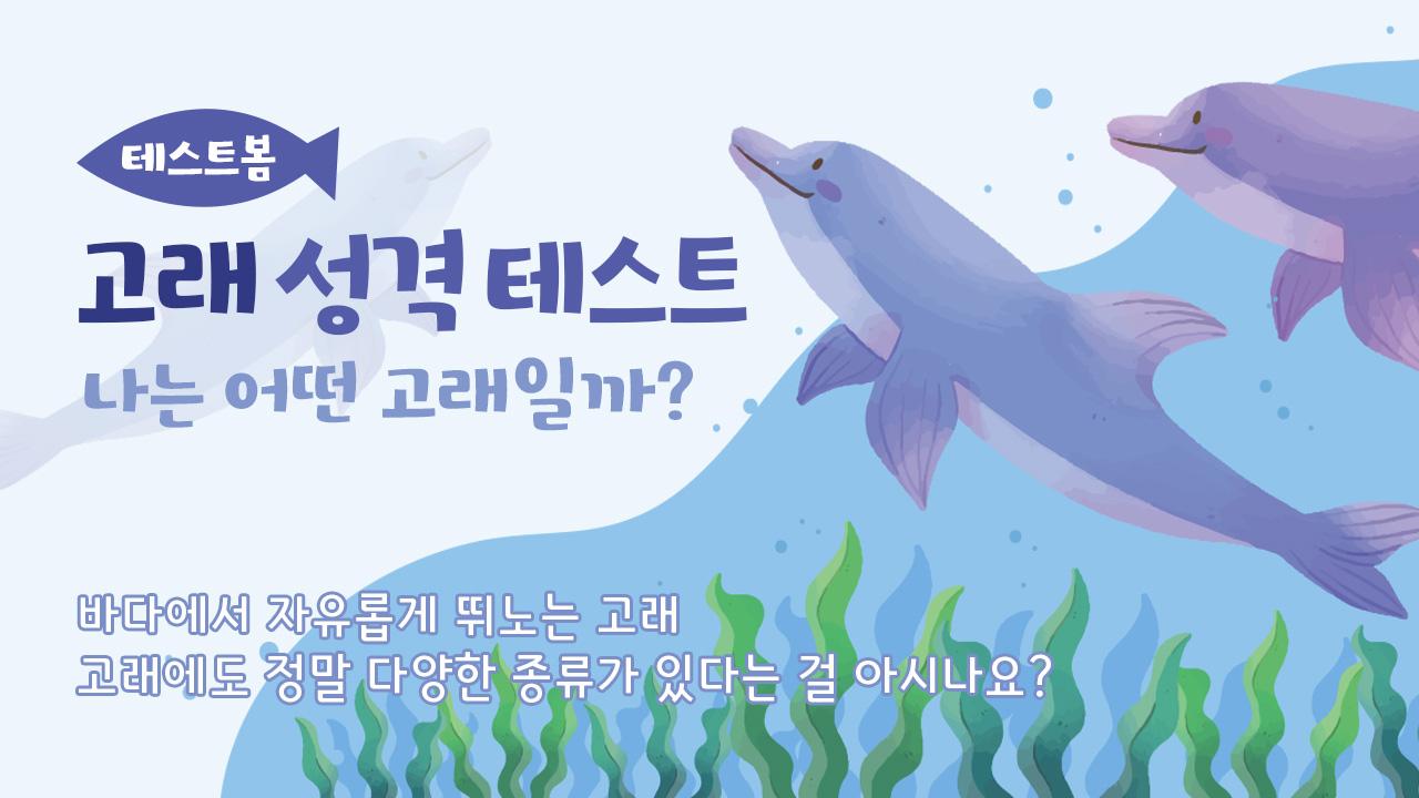 고래 성격 테스트