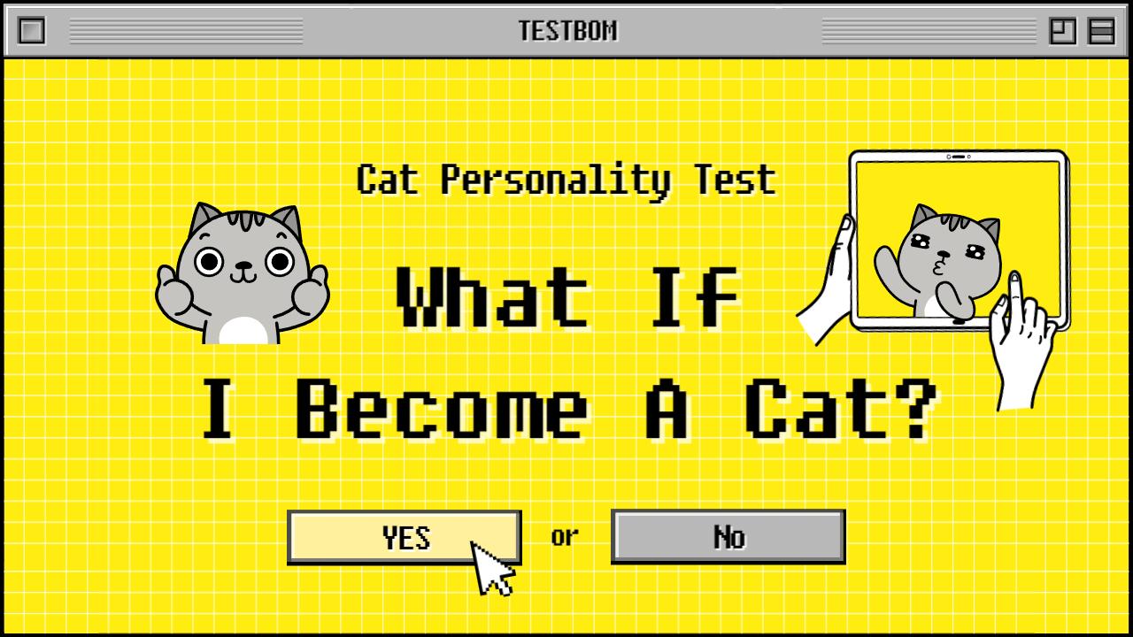 Cat Personality Test