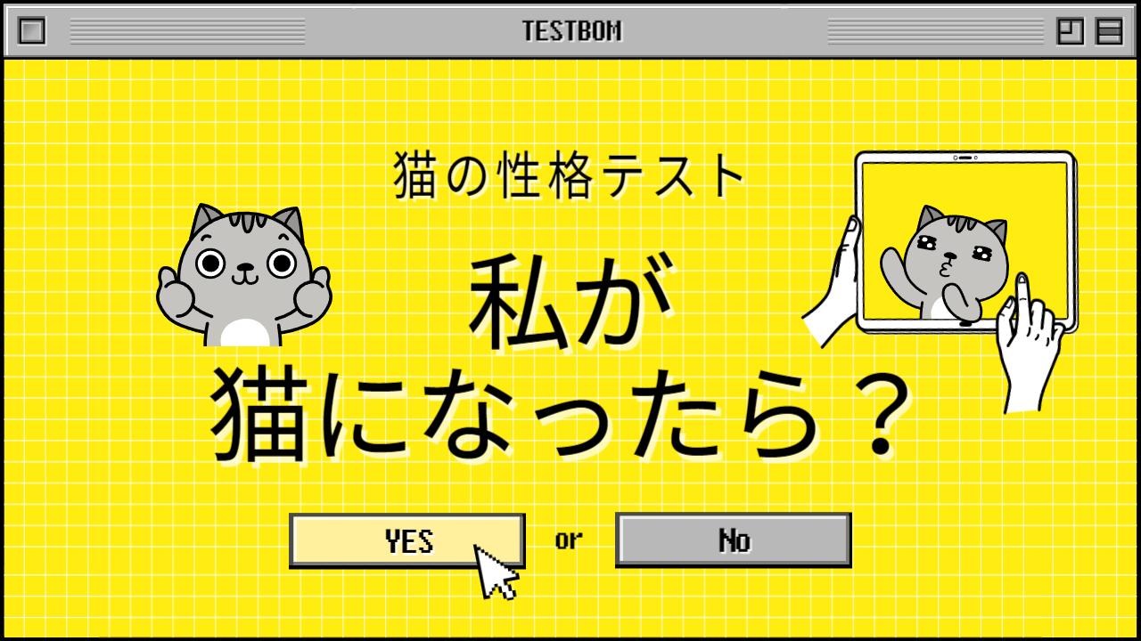 猫の性格テスト