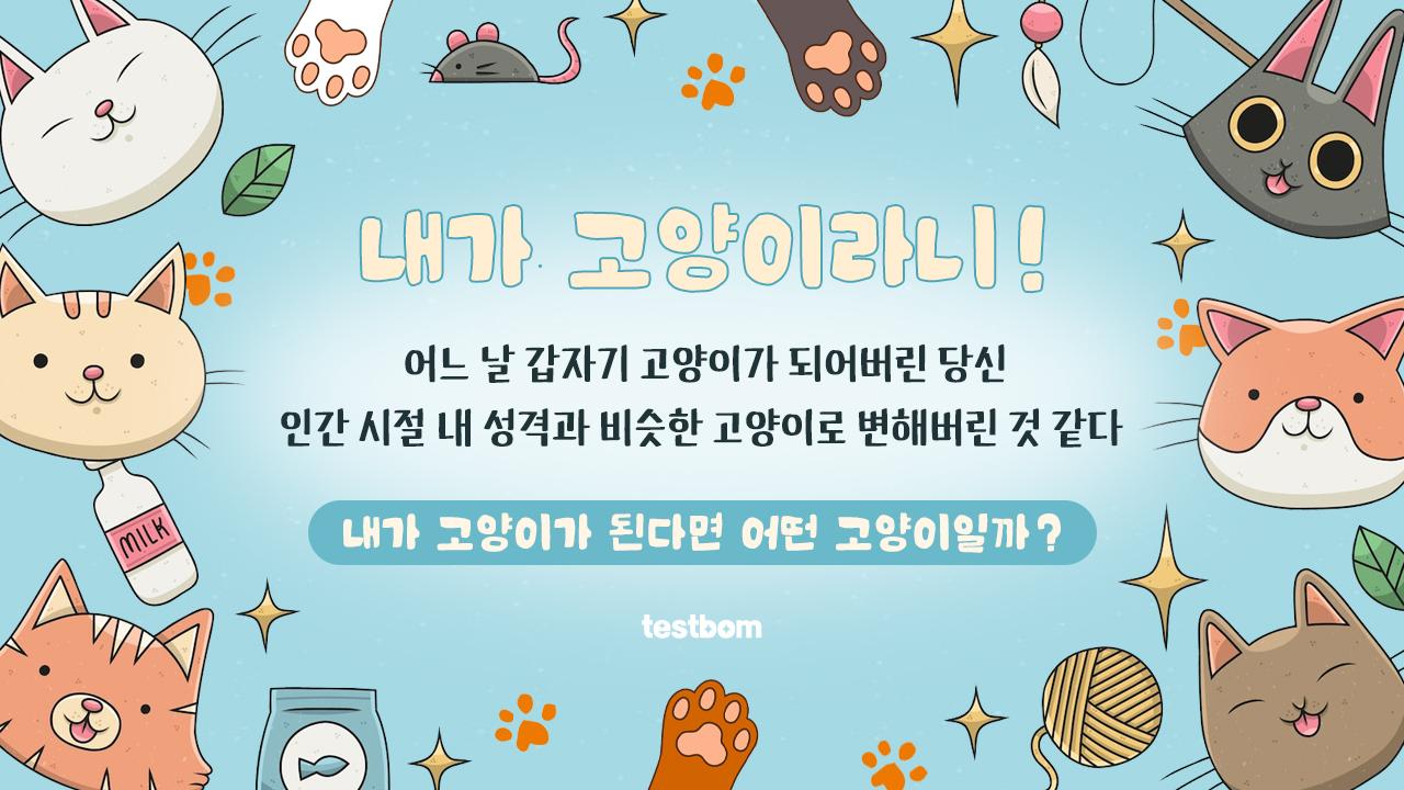 고양이 성격 테스트